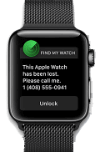 apple watch icloud unlock